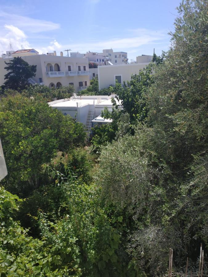 Enalion-Tinos Bed & Breakfast Luaran gambar